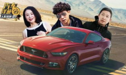 野马视频,探寻狂野之美，捕捉自然瞬间